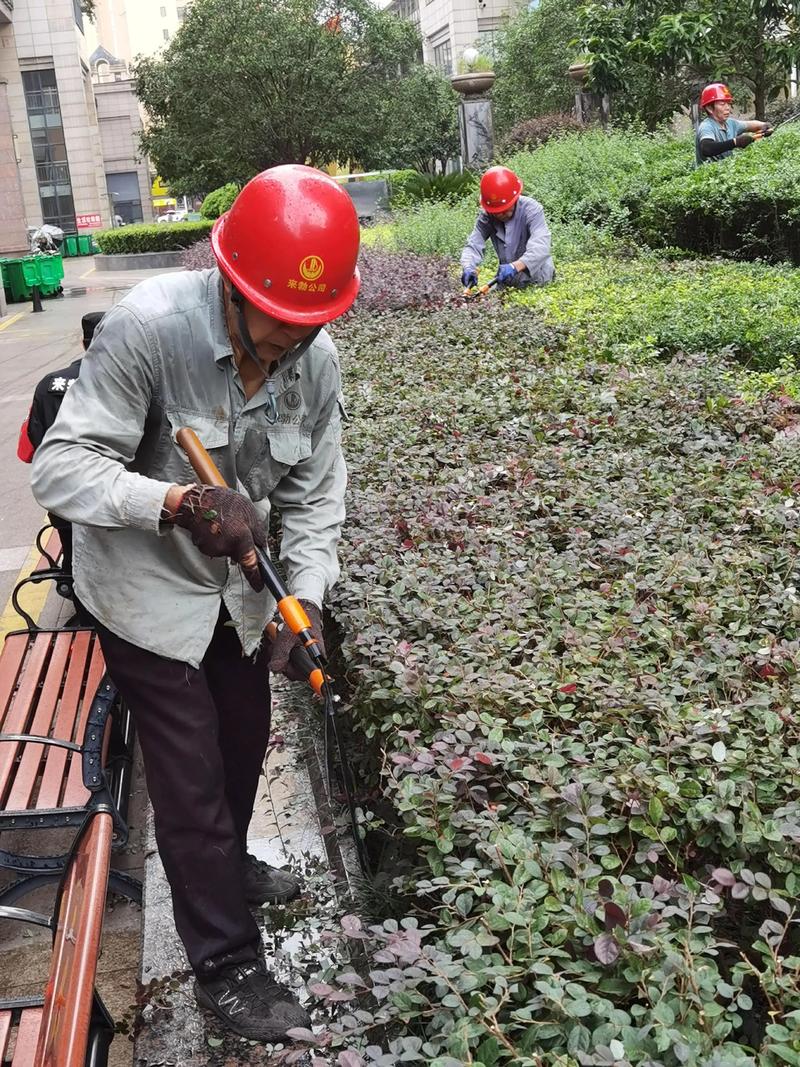 别墅庭院设计：打造梦想中的后花园