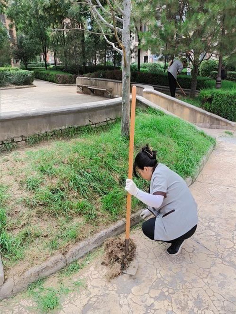 南昌园林绿化：城市绿肺的绿色呼吸